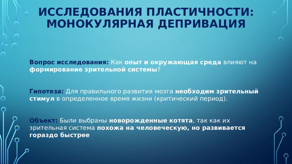 Нейроны зрительной коры: детекторы признаков и их иерархия