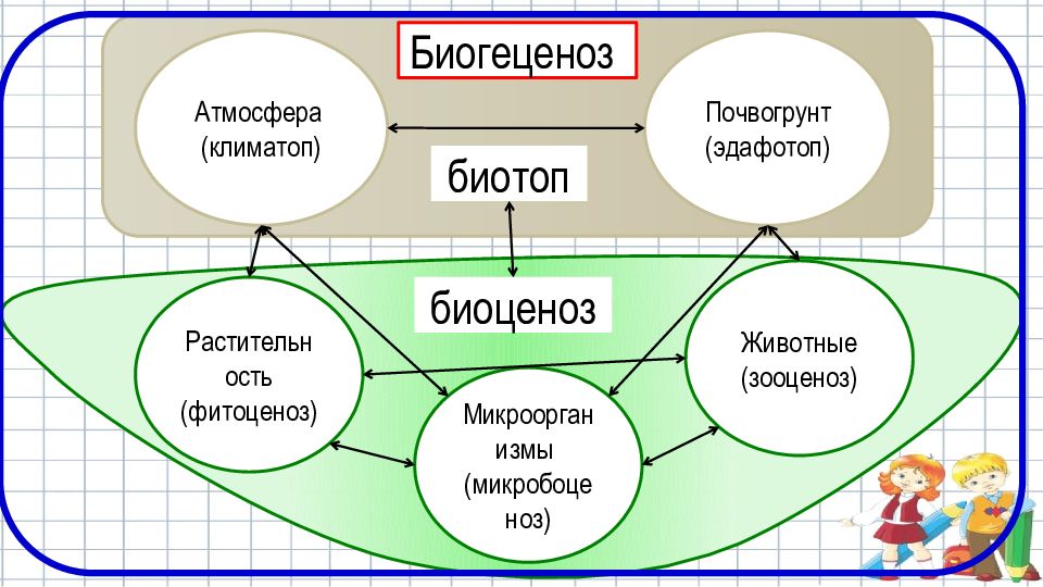 Биоценоз признаки