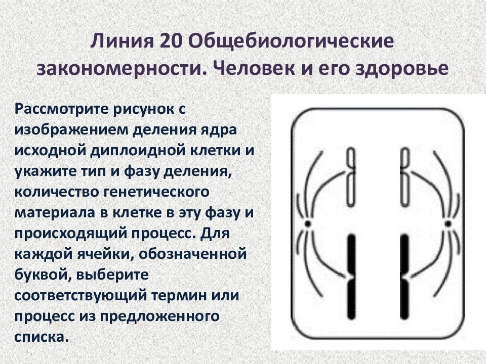 Задания с изображением биологического объекта