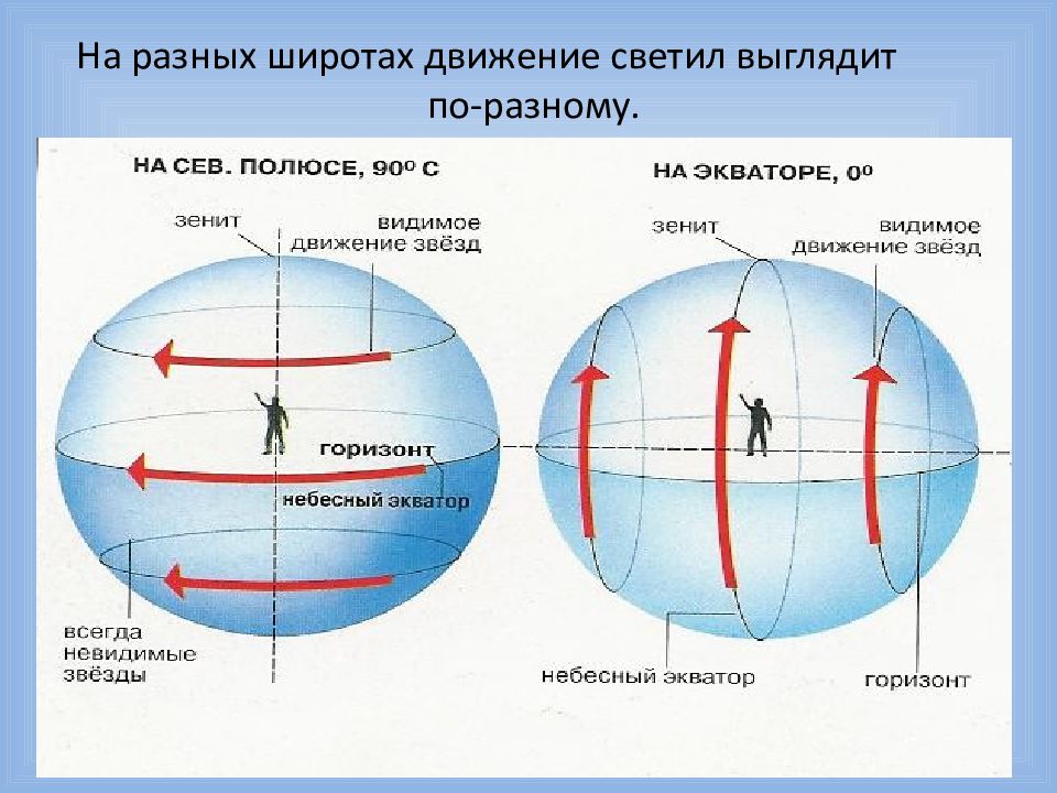 В каких широтах расположена