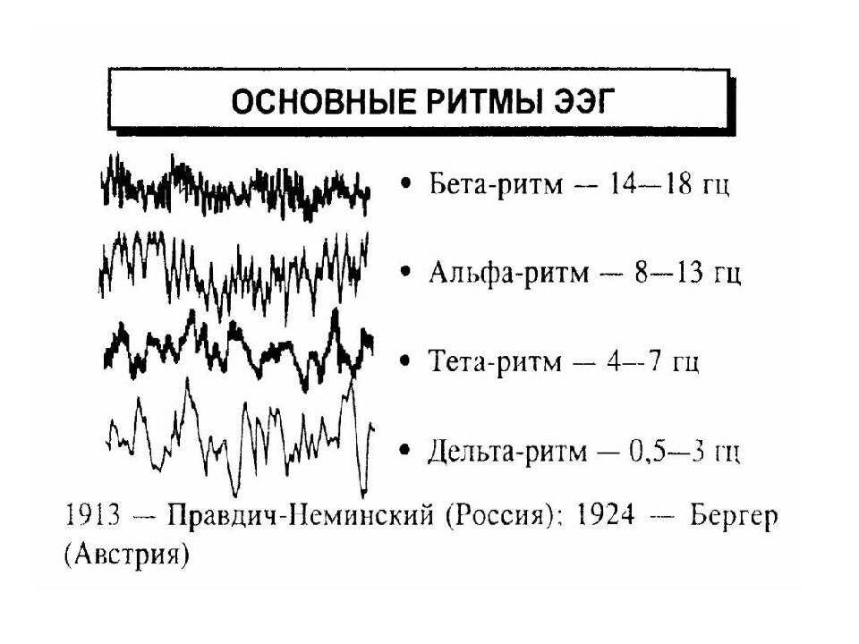Лекция 5 Физиология нервной системы