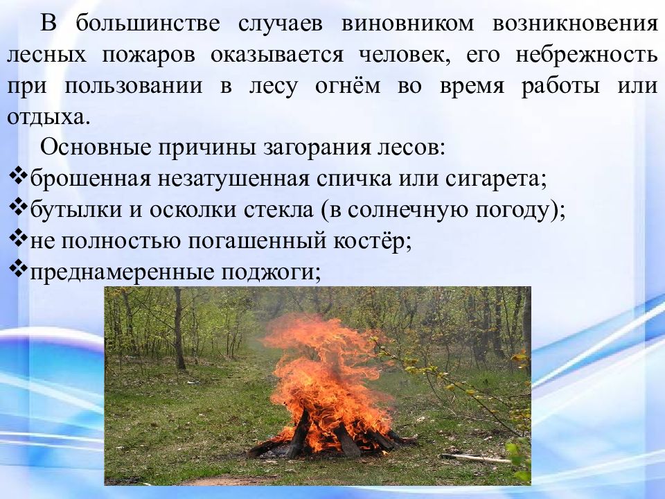 Природные пожары кратко. Причины возникновения лесных пожаров. Лесные пожары презентация. Лесные и степные пожары. Лесные степные и торфяные пожары.