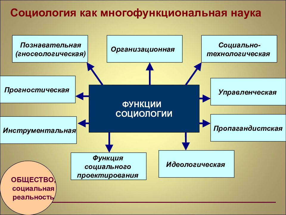 Роль социолога в обществе