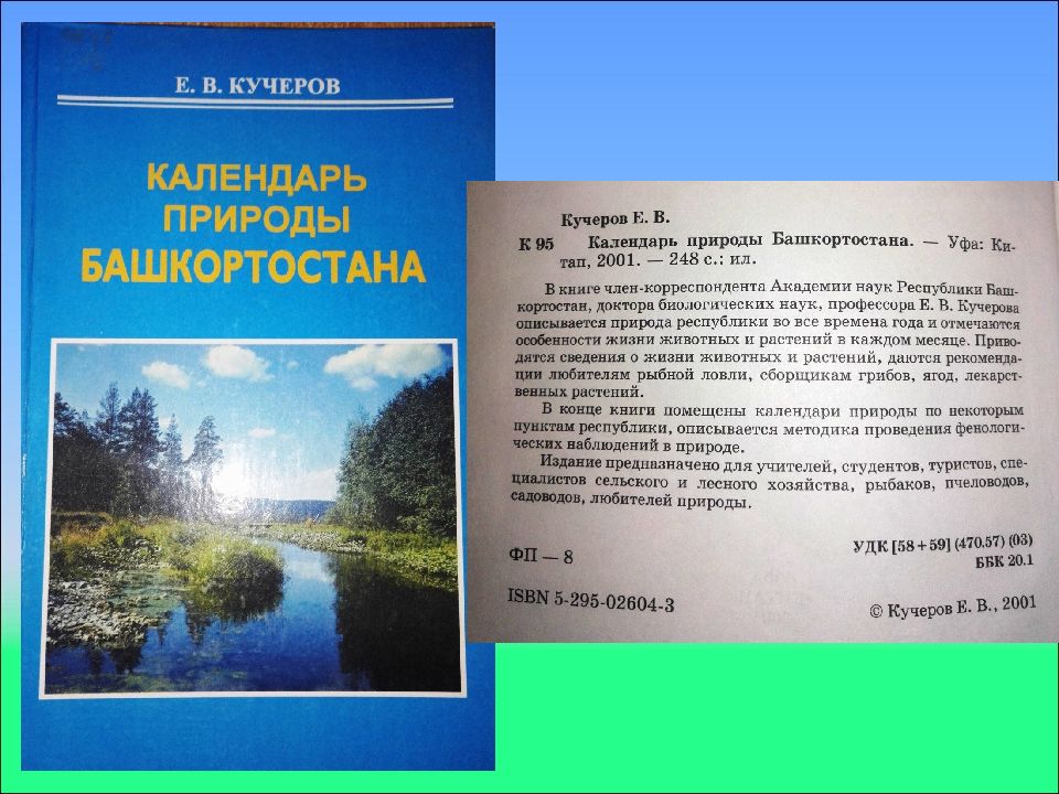 Кучеров книга