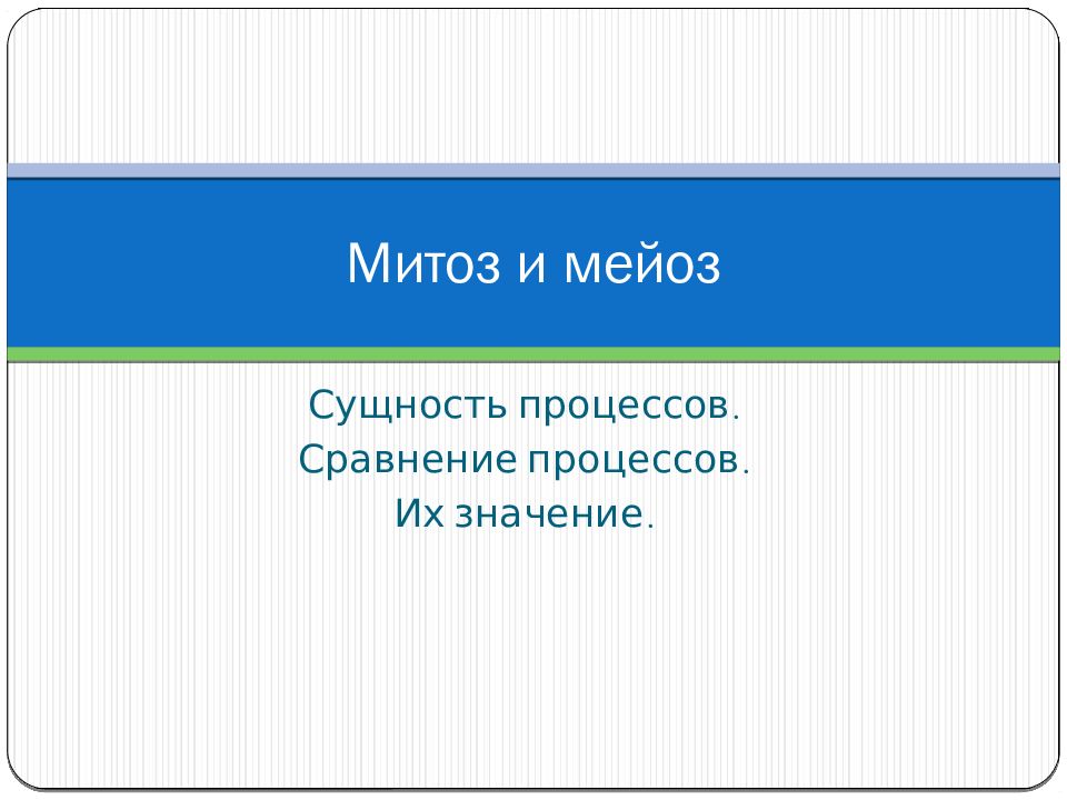 Митоз и мейоз