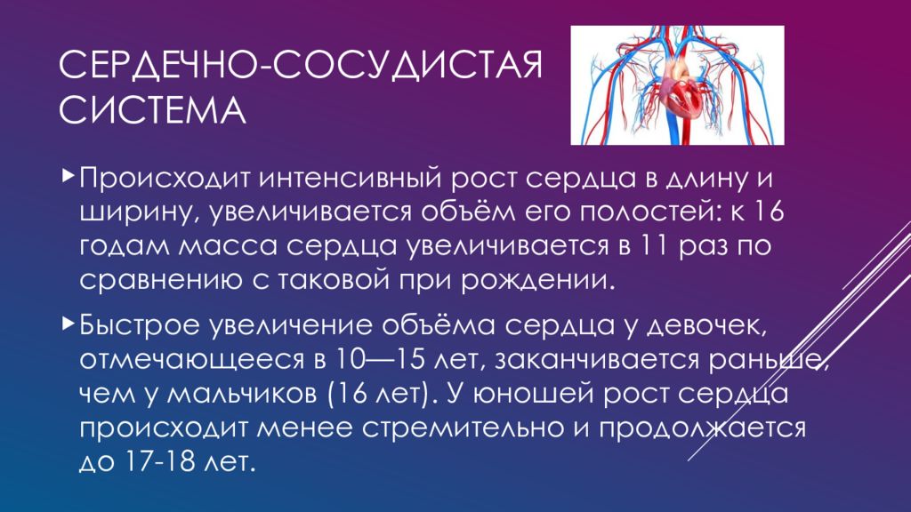 Сердечный 10. Сердечно сосудистая система у подростков. Интенсивный рост сердца. Сердечно сосудистая система в старости. Объем сердца с 10 до 16 лет увеличивается.