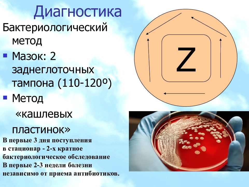 Мазок на коклюш у детей как делается. Метод кашлевых пластинок. Коклюш методом кашлевых пластинок. Исследование на коклюш методом кашлевых пластинок. Метод кашлевых пластин при коклюше.