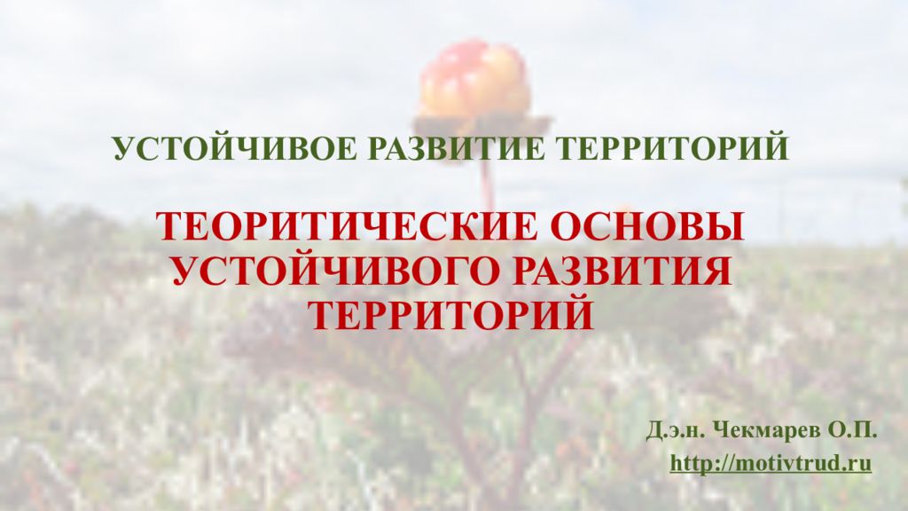 Устойчивые территории