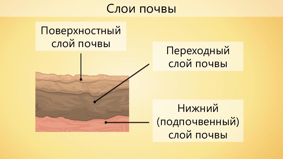 Схема слоев почвы