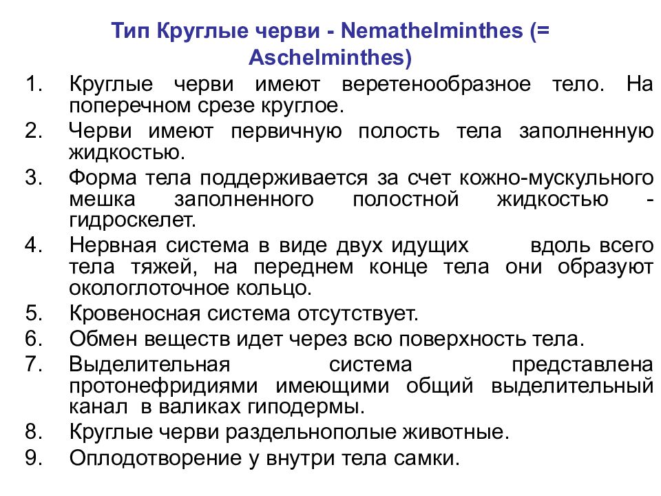 Тип круглые