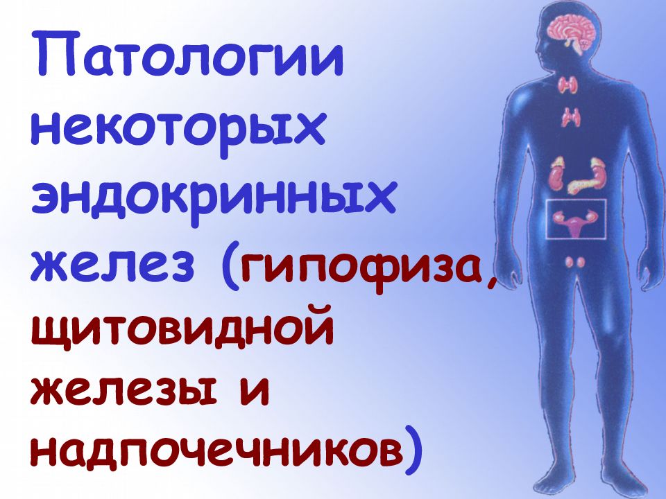 Патологии некоторых эндокринных желез ( гипофиза, щитовидной железы и