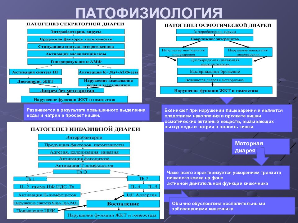 Патфиз. Механизм развития диареи. Патогенез патофизиология. Патогенез диареи патофизиология. Этиология патофизиология.