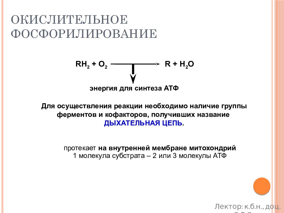 Пути фосфорилирования атф. Окислительное фосфорилирование образование АТФ. Окислительное фосфорилирование это Синтез АТФ. Синтез АТФ биохимия окислительное фосфорилирование. Синтез АТФ путем окислительного фосфорилирования.