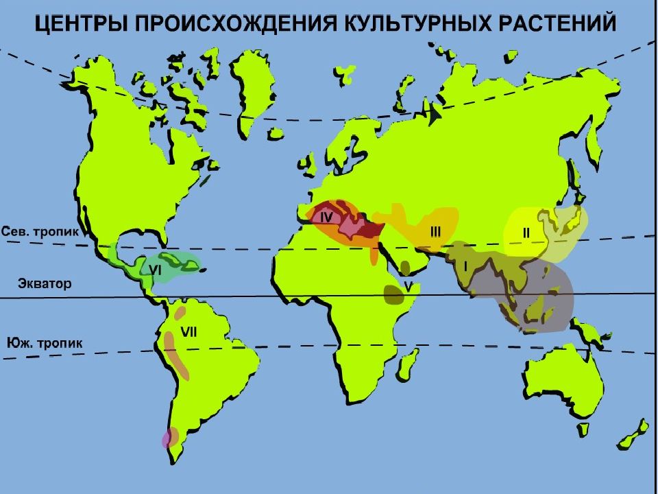 Карта центры происхождения растений