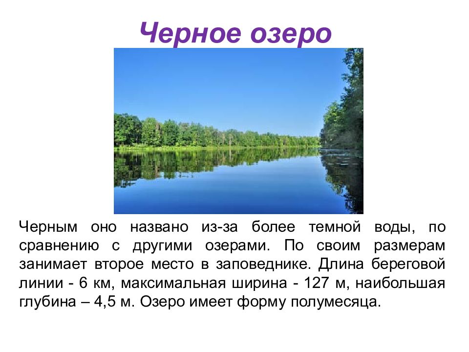 На черном озере текст