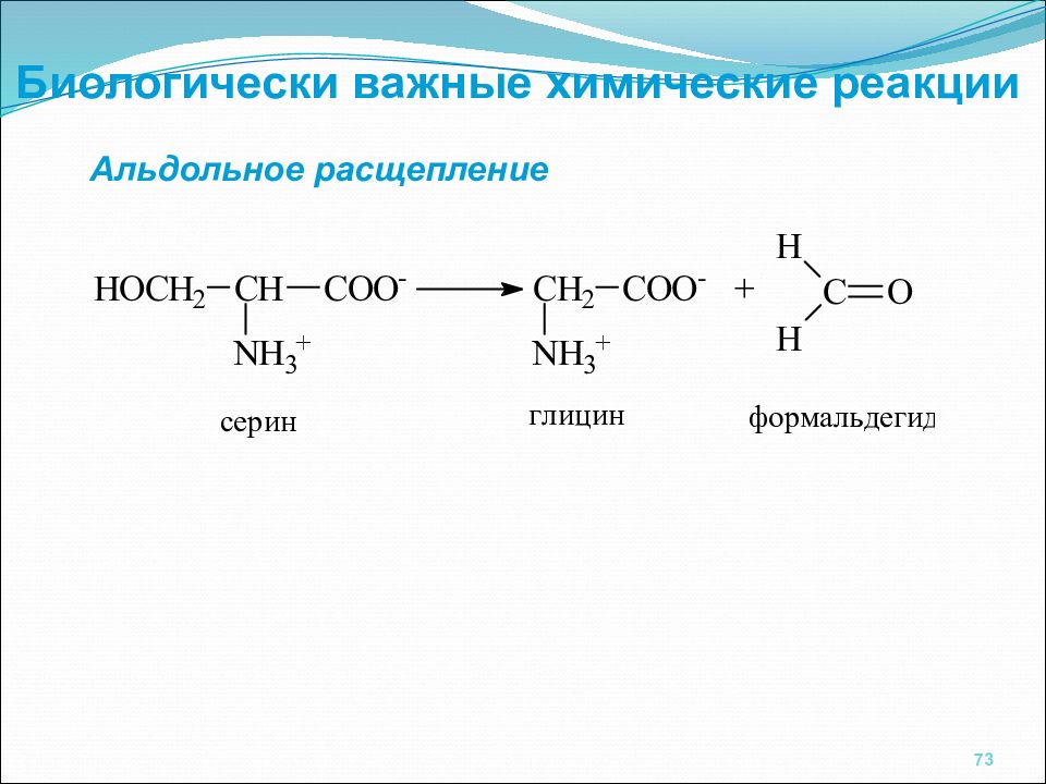 Напишите реакцию глицина. Альдольное расщепление аминокислот. Схема реакции взаимодействия глицина с формальдегидом. Реакция взаимодействия глицина с формальдегидом. Реакция глицина с формальдегидом.