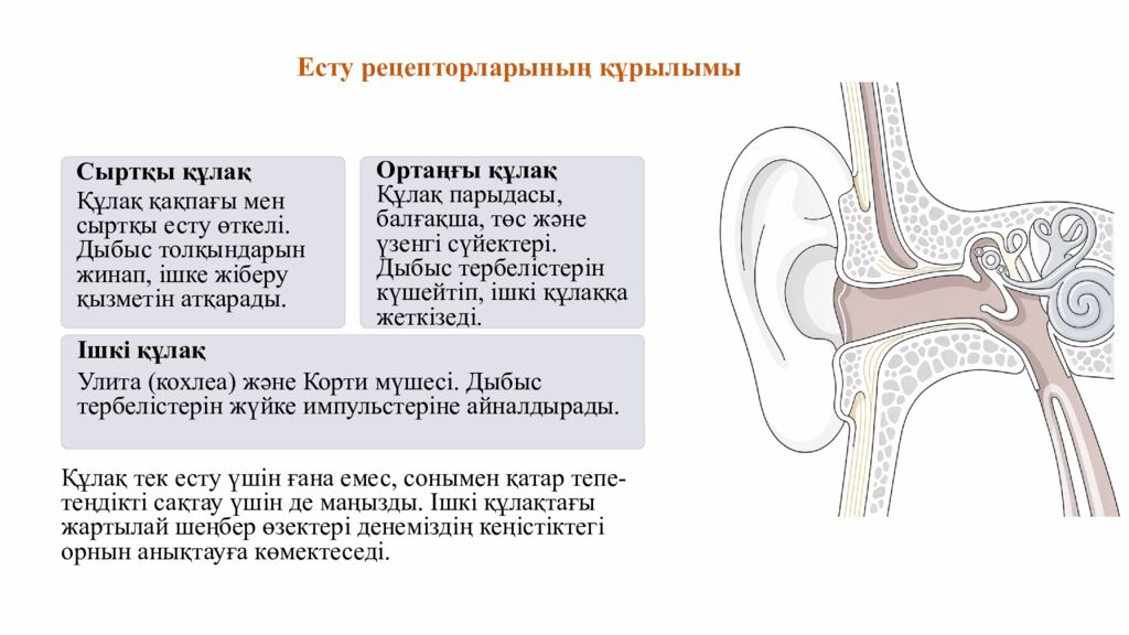 ПСИХОЛОГИЯЛЫ Қ АТМОСФЕРА ОРНАТУ « Кубик» әдісі бойынша жағымды психологиялық