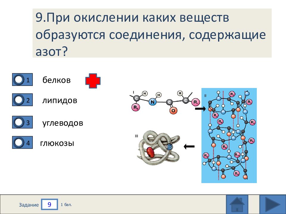 Каким номером на рисунке обозначен органоид который участвует в окислительном фосфорилировании