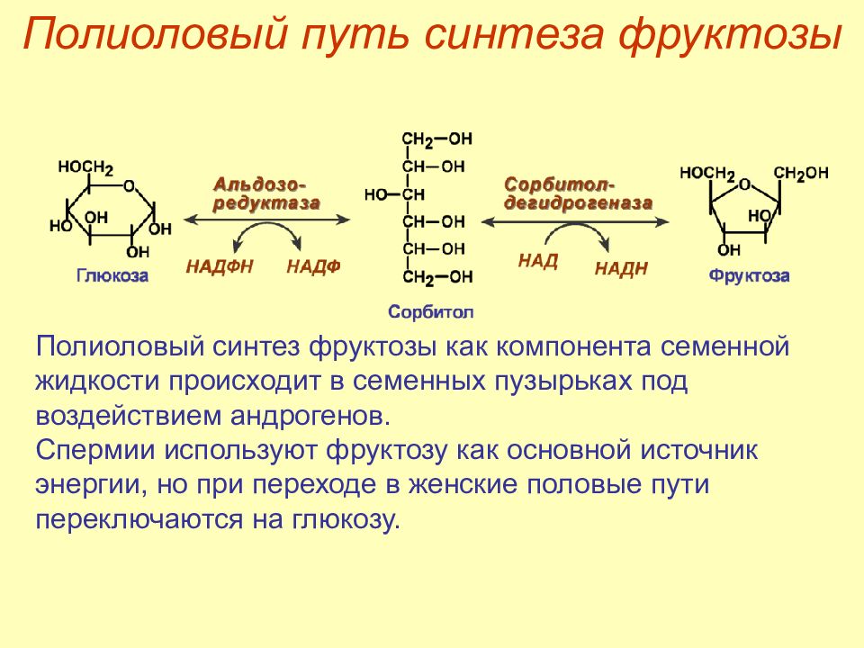 Фруктоземия биохимия презентация