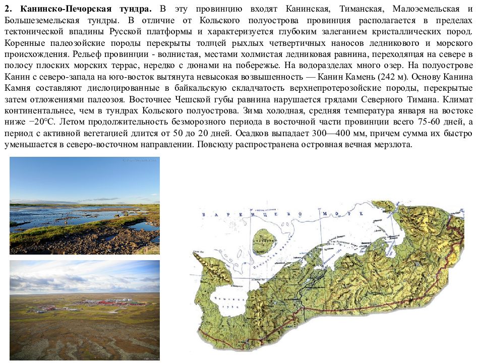 Где печорская низменность. Канинско Печорская провинция. Большеземельская тундра низменность на карте. Большеземельская тундра равнина на карте. Печорская низменность рельеф.