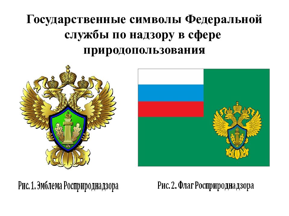 Федеральная служба природопользования. Федерационая службы по надзору в сфере природопользования. Федеральная служба по надзору в сфере природопользования герб. Росприроднадзор герб. Символ Федеральной службы по надзору в сфере.