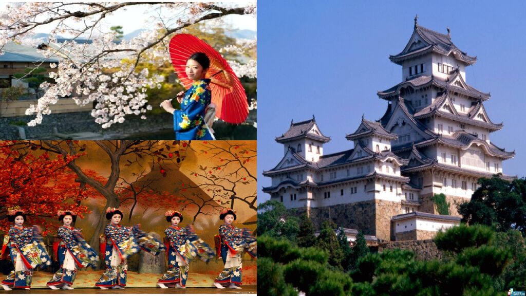 INTERNATIONAL SCHOOL OF FINANCE TECHNOLOGY AND SCIENCE ISFT – 202 5 MAVZU :