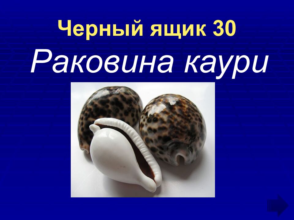 Черный ящик 30