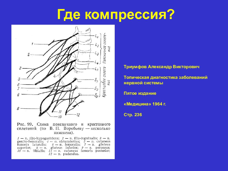 Топический диагноз пример. Поясничное сплетение патология. Симптомы поражения пояснично-крестцового сплетения. Поражение поясничного сплетения неврология.