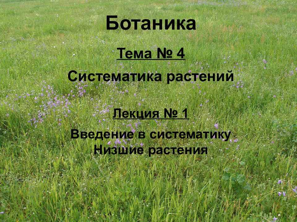 Ботаника Тема № 4 Систематика растений Лекция № 1 Введение в систематику Низшие