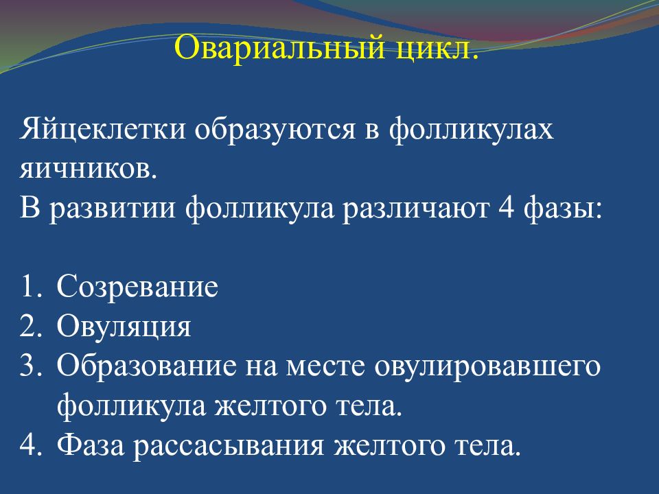 Презентация репродуктивная система человека 8 класс