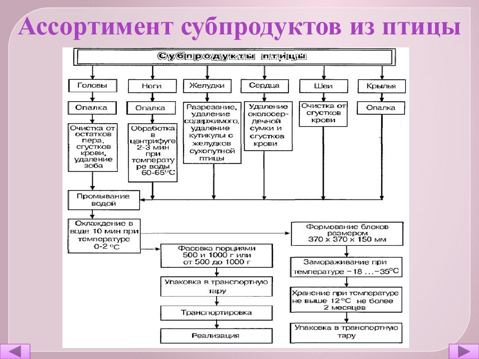 Схема первичной обработки птицы