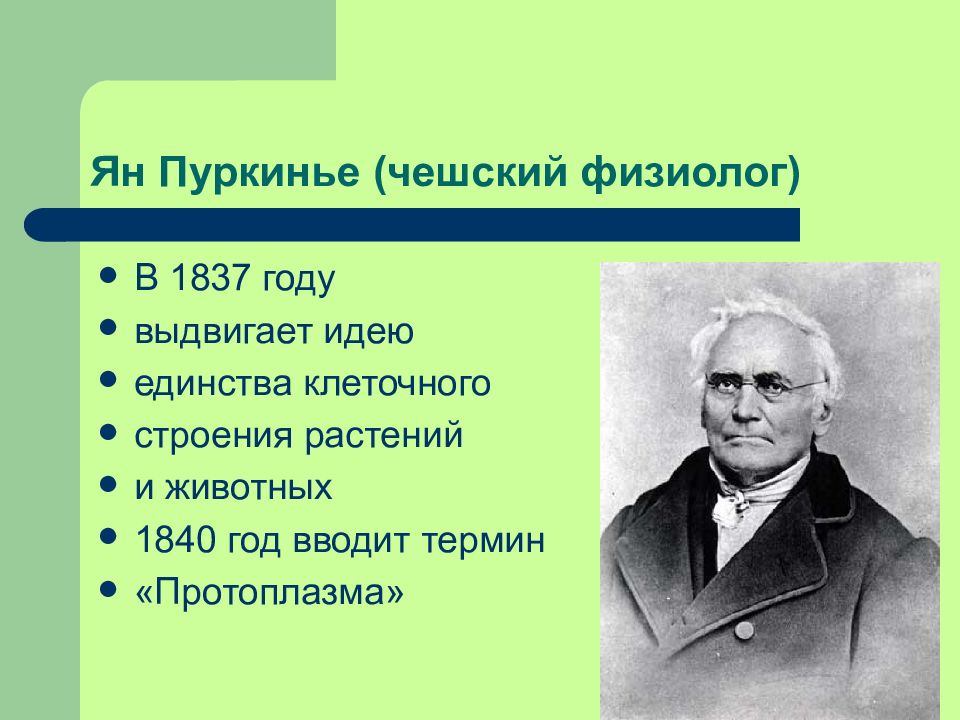 Презентация по биологии 10 класс. Ян Эвангелиста Пуркине. Ян Пуркинье вклад в биологию. 1825 Ян Пуркинье. Ян Эвангелиста Пуркине вклад.