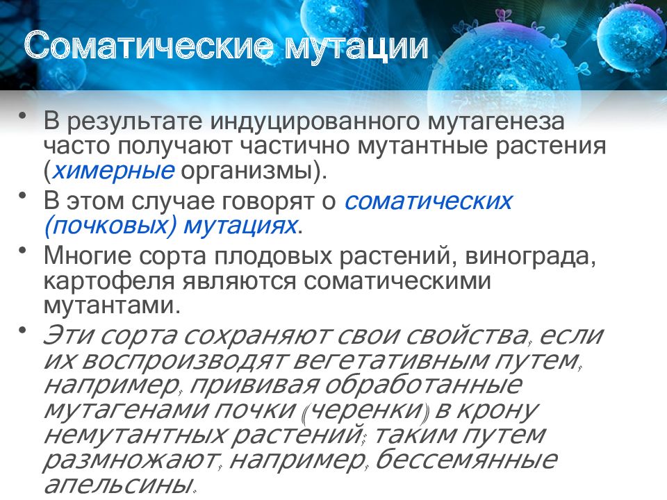 Селекция и биотехнология презентация