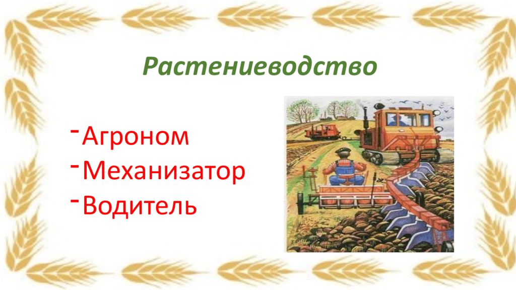 Профессии сельского хозяйства. Сельскохозяйственные профессии. Сельскохозяйственные профессии для дошкольников. Профессии из сельского хозяйства. Сельскохозяйственные профессии для детей подготовительной группы.