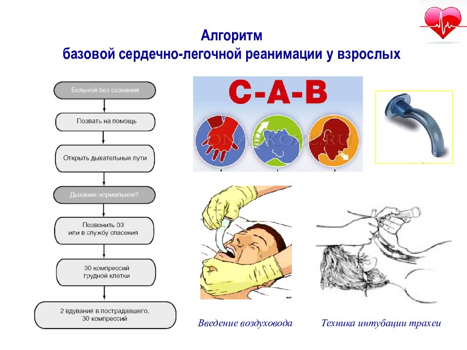 Проведение базовой сердечно легочной реанимации презентация