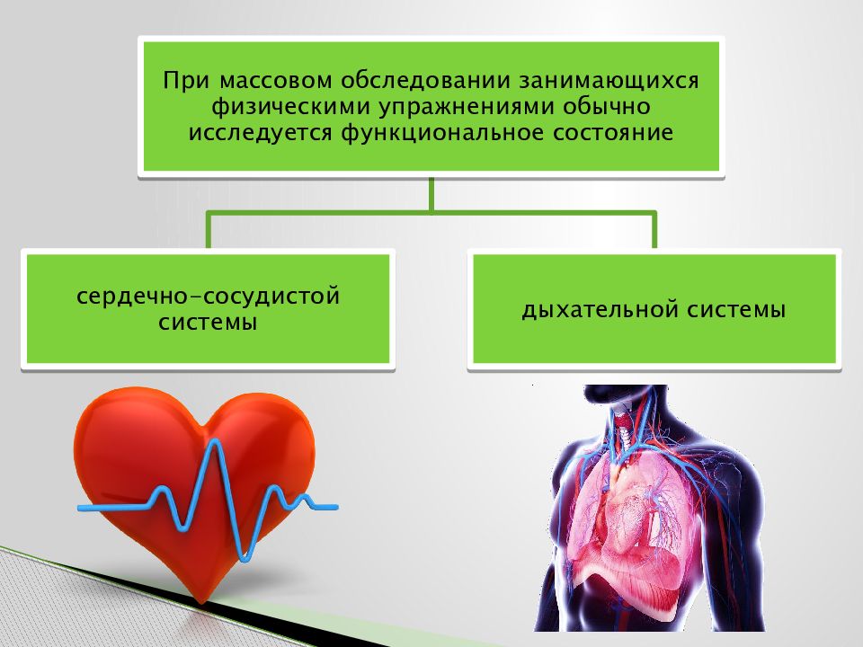 Функциональное состояние организма презентация