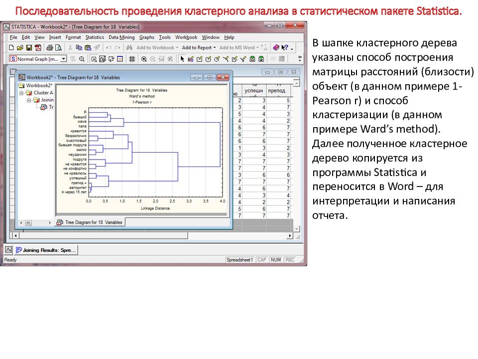 Кластерный анализ в эксель. Кластерный анализ в Statistica. Кластерный анализ в программе Statistica. Программы для статистического анализа. Программа статистика анализ.