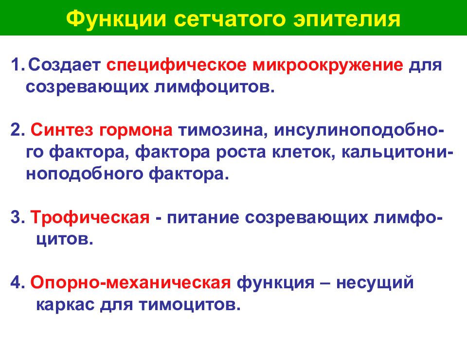 Функции сетки. Сетчатка глаза строение и функции. Функции сетки. Функции сетки. Опишите строение сетчатки глаза.