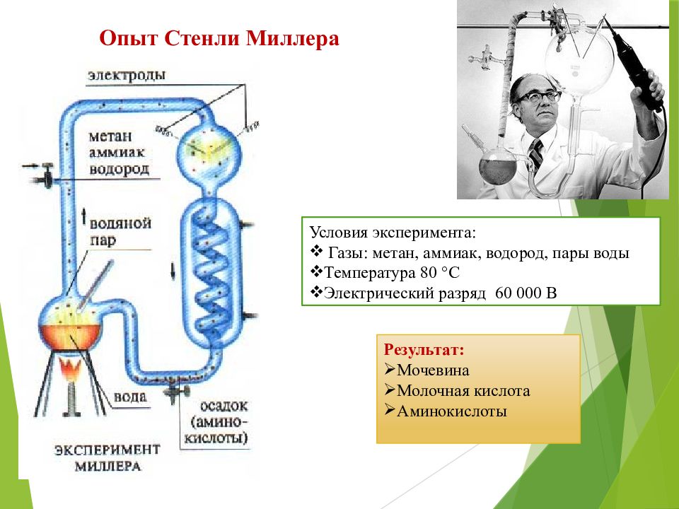 Теория биопоэза картинки