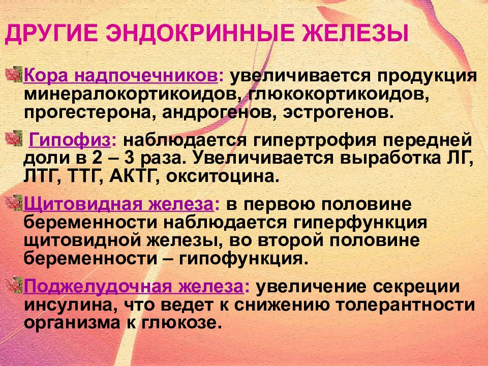 Железы беременности. Эндокринные железы при беременности. Изменения в эндокринной системе беременной. Физиологические изменения эндокринной системы у беременных. Изменения в эндокринной системе у беременной женщины презентация.