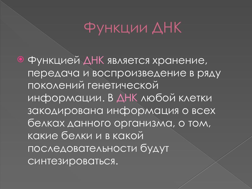 Выполняемые функции днк. Функции днк кратко. Функции днк в клетке. Генетические функции днк. Какие функции выполняет днк.