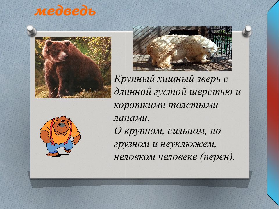 Медведь согласные звуки