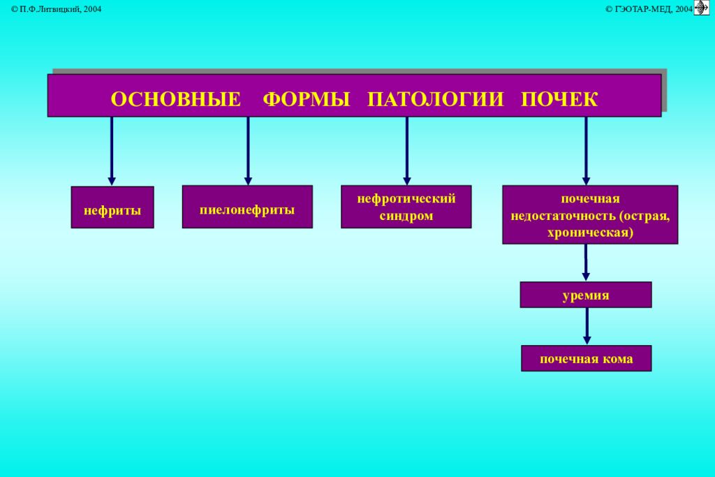 Почечная кома. Основные формы патологии почек. Формы патологии патофизиология. Типовые нарушения почек патофизиология.