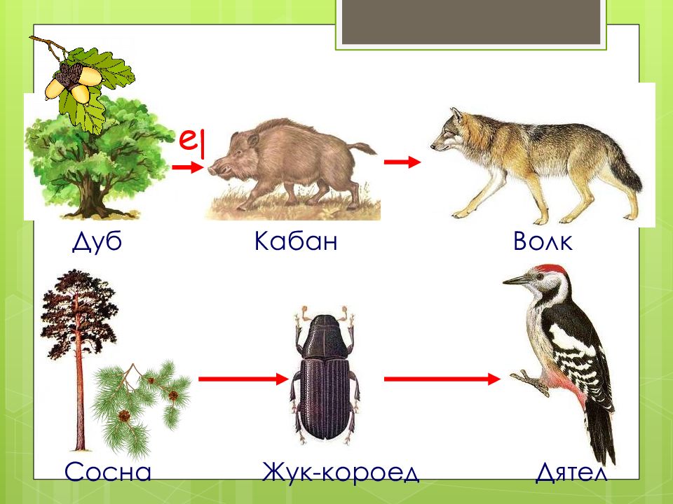 Составляющая изображения без чего оно и не может существовать