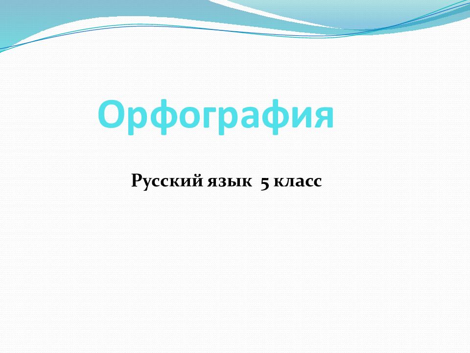 Орфография