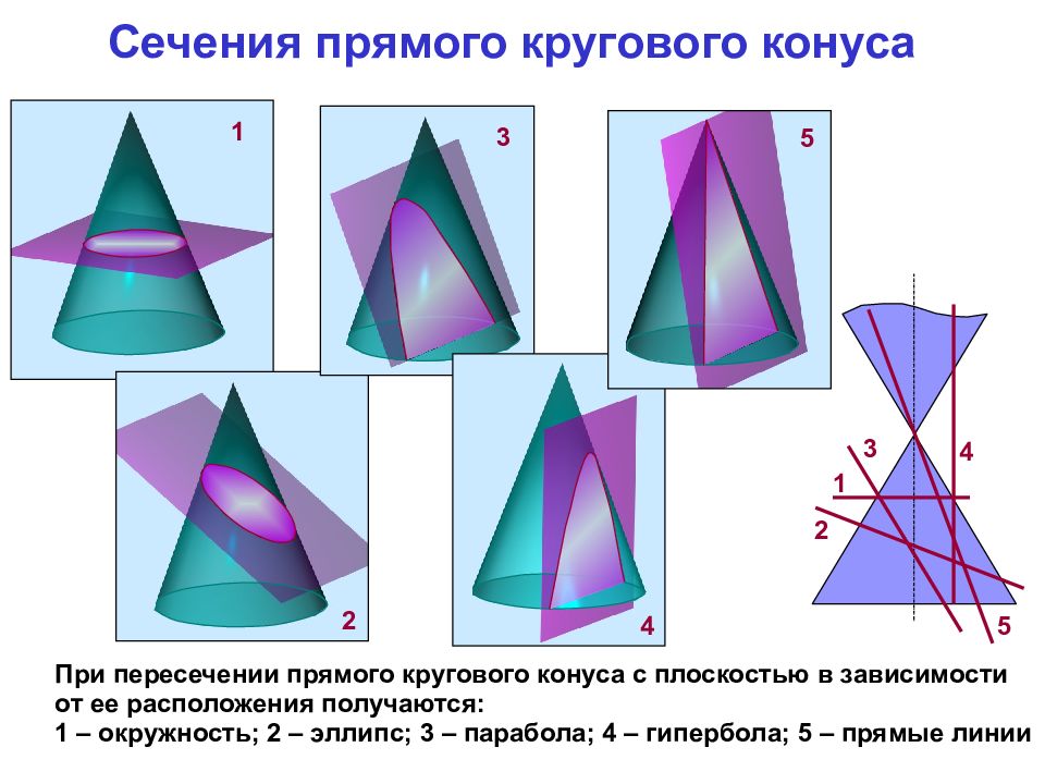 Сечение конуса плоскостью чертеж