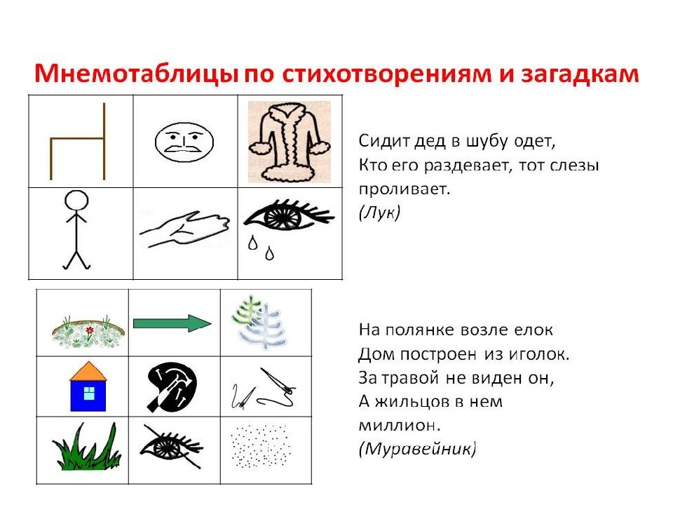 Загадки по экологии для дошкольников с картинками