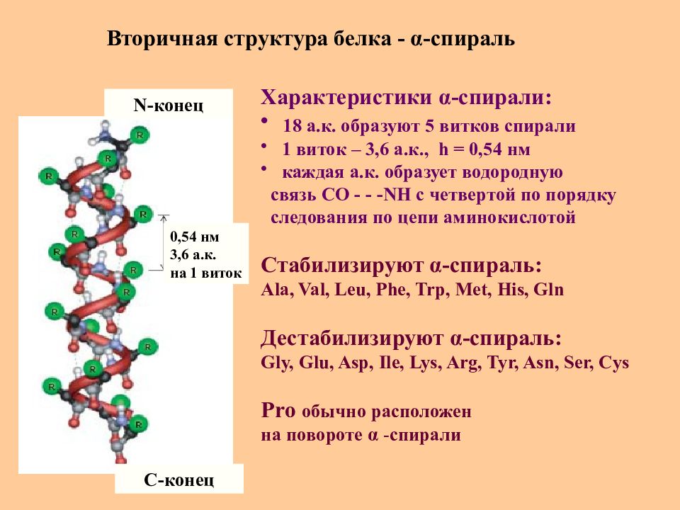 Аминокислоты биохимия презентация