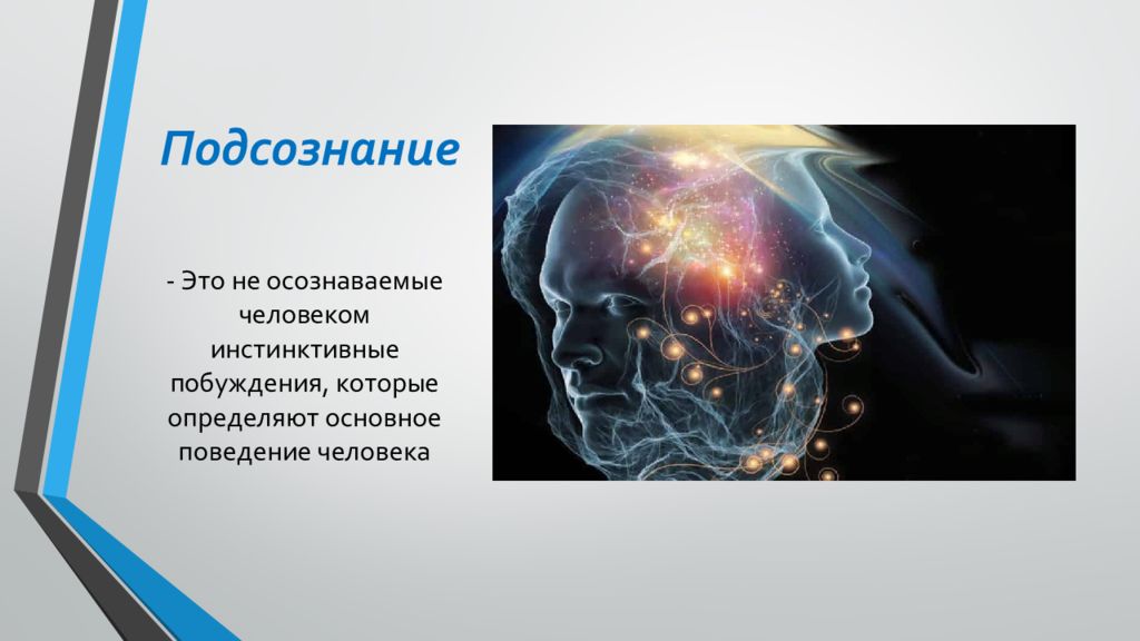 Высшая нервная деятельность картинки для презентации