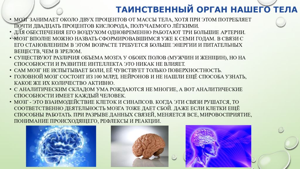 Процент мозга от тела. Нейротехнологии презентация. Нейротехнологии реферат. Как мозг получает кислород. Какой процент тела занимает мозг.